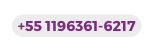 55 1196361 6217